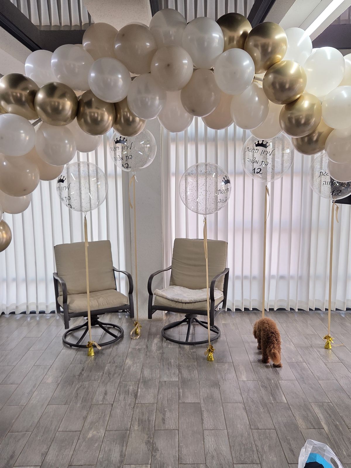 שערים וקשתות בלונים — Neto Balloon